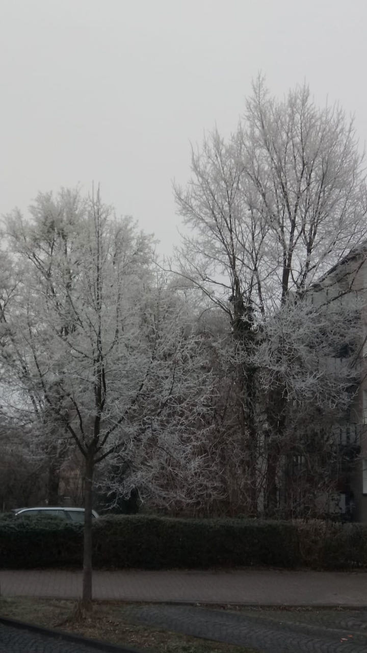 2022-01: Winter in Wilhelmshöhe (Foto: Antony Braun)