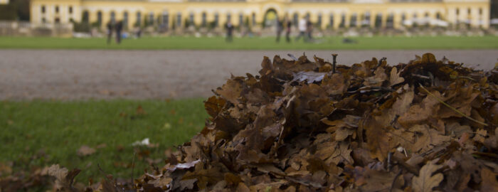 2014-10-HerbstAue