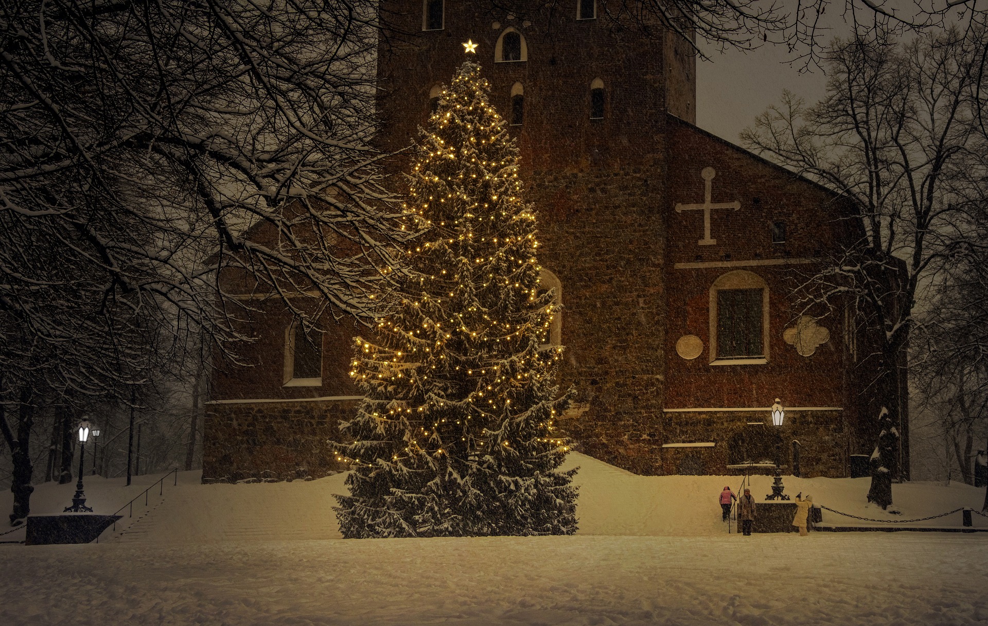 Warum ein geschmückter Tannenbaum? [Türchen Nr. 8]